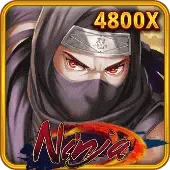 Ninja cover